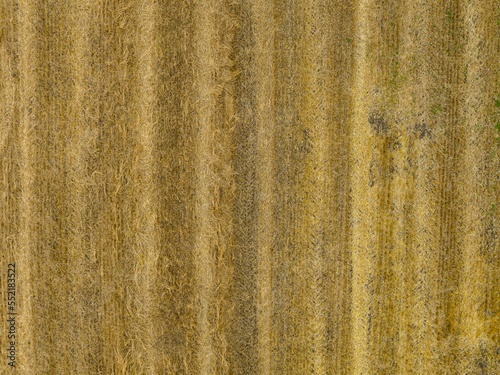 High angle aerial view on agricultural wheat field. Rural farming in Switzerland.
