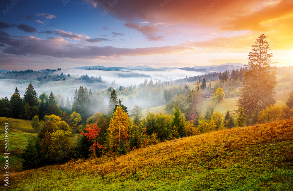 Inspiring morning landscape of the countryside in the mountains with morning fog. - obrazy, fototapety, plakaty 