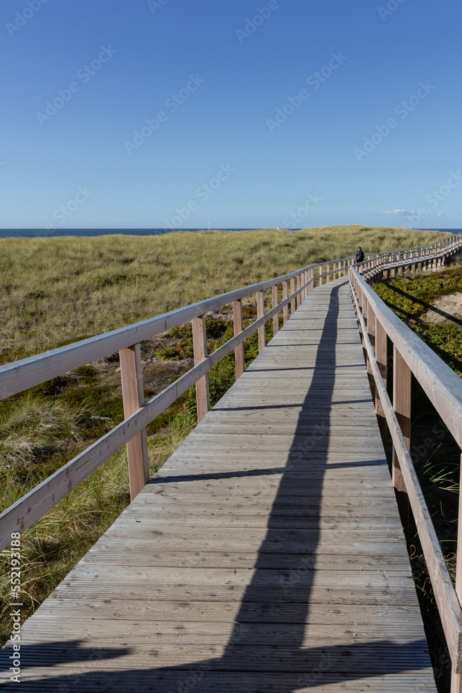 Holzsteg über die Dünen bei Kampen zum Schutz der Vegetation