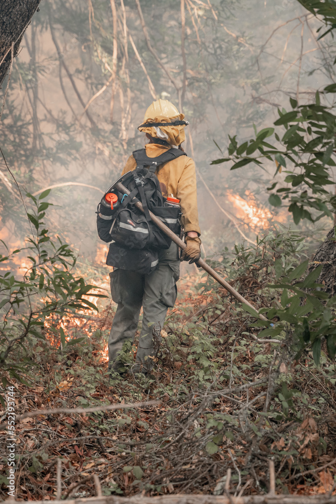 Naklejka premium Firefighter Fighting Wildfire in Forest in California