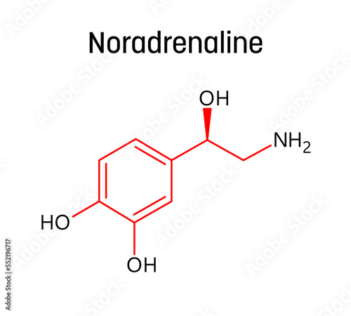 Noradrenaline molecular structure. Noradrenaline, or Norepinephrine, is neurotransmitter and hormone in human body. Vector structural formula of chemical compound with red bonds and black atom labels. photo