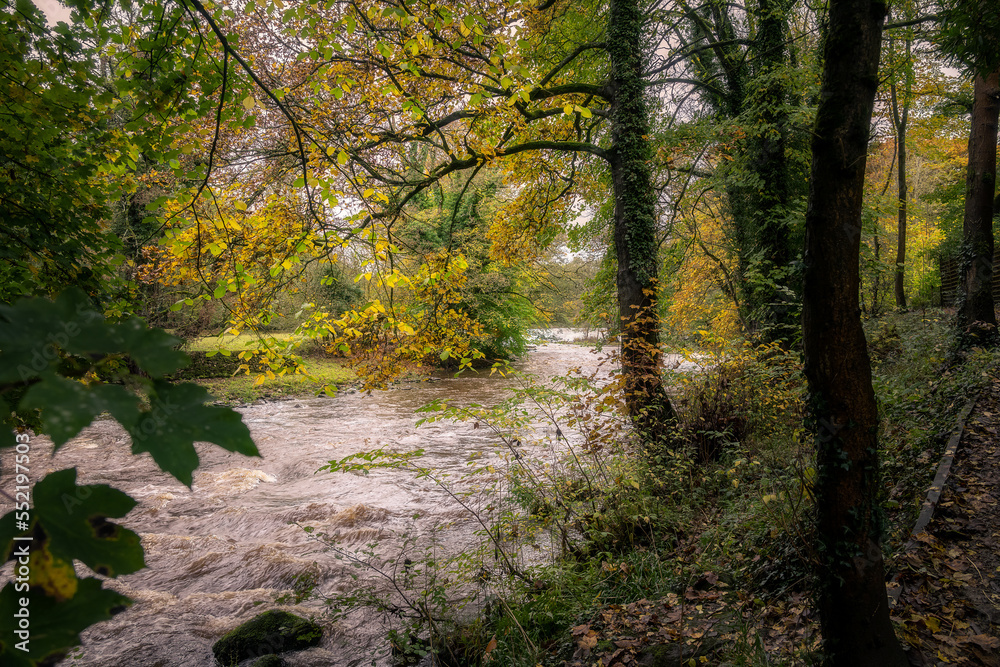 Walking along the river Derwent in autumn, Derbyshire, England Walking along the river Derwent in autumn, Derbyshire, England