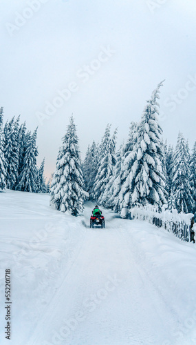 Rider driving in the quad bike race in winter in beautiful snowy road with fir trees in frozen mountains forest. Winter holiday © Jukov studio