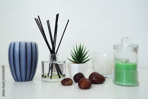 Incense sticks in a glass vessel with essential oil. White background. Sansevier or aloe plant in a pot. Wax candle in a stylish glass flask with a lid. Chestnut fruit. Gray striped candle or vase.