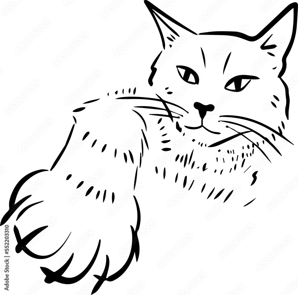 Vector illustration. The cat waves its paw. Cat claws.