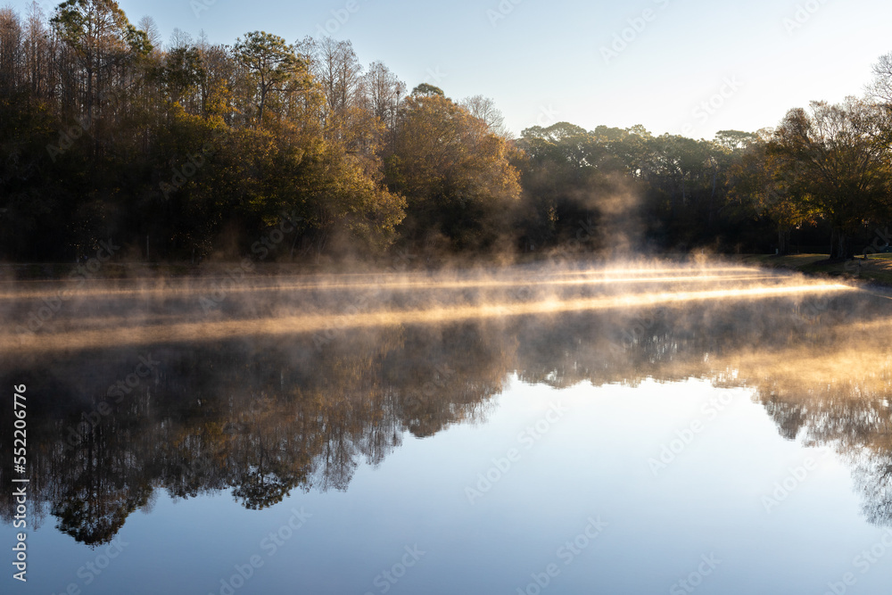 Fototapeta premium foggy morning