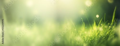 Abstract spring background or summer banner with fresh grass