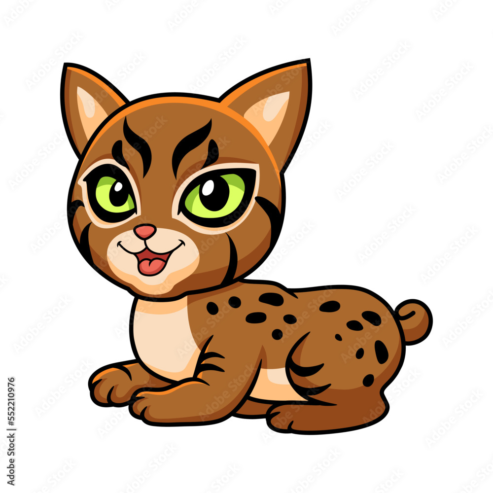 Cute pixie bob cat cartoon Cute pixie bob cat cartoon