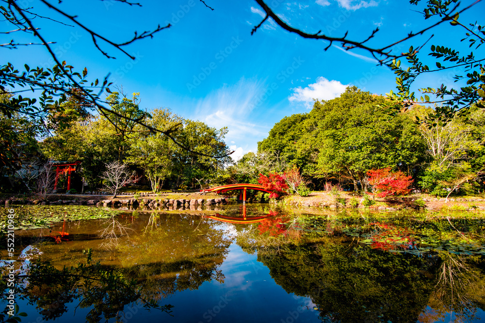 Fototapeta premium 宇佐神宮の紅葉