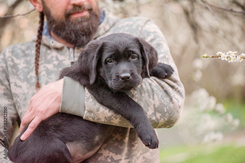 A small black Labrador retriever puppy. A dog in the arms of a bearded man.