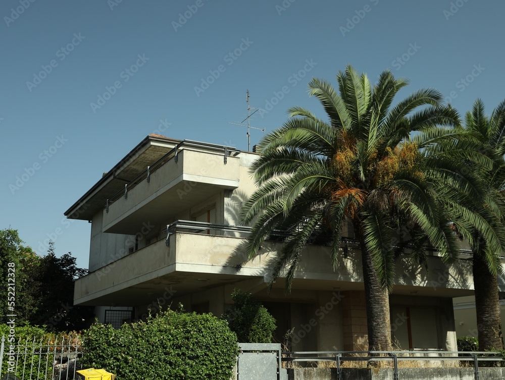 Fototapeta premium Beautiful palm trees and residential building with balconies on sunny day