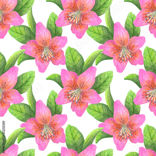 Seamless pattern with tropical flowers. Color illustration. Drawn with colored pencils. The print is used for Wallpaper design, fabric, textile, packaging.