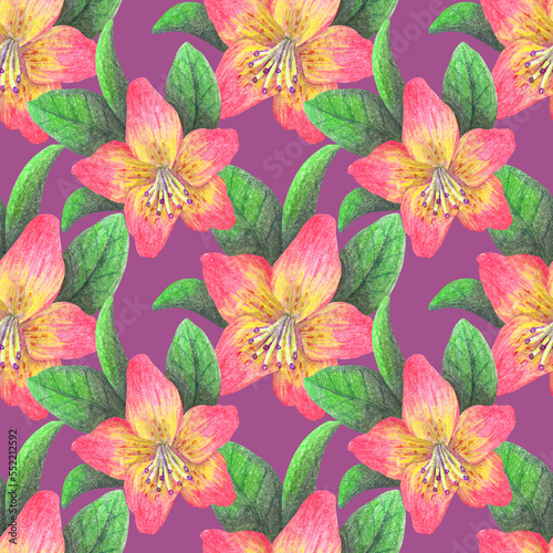 Seamless pattern with tropical flowers. Color illustration. Drawn with colored pencils. The print is used for Wallpaper design, fabric, textile, packaging.