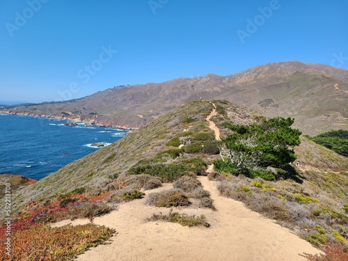 Картината върху платно Hiking trail to Whale Peak, a coastal bluff above the Pacific Ocean in Big Sur,
