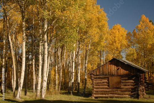 Flaming Gorge Cabin 