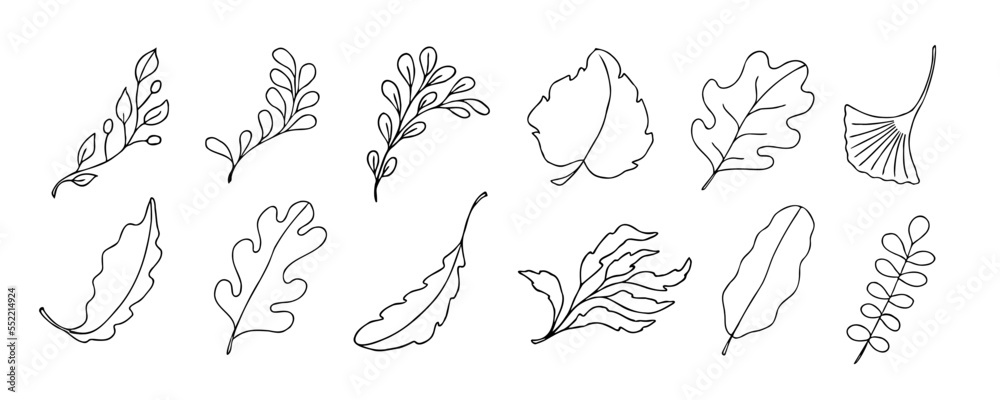 Leaves vector sketch set. Hand drawn decorative elements