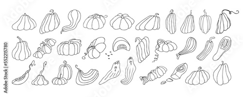 Set of design elements, isolated on white background. Autumn design template, hand drawn pumpkins, flat vector illustration