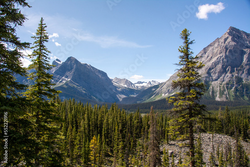 Mountain forest in Kananaskis Country, Alberta photo