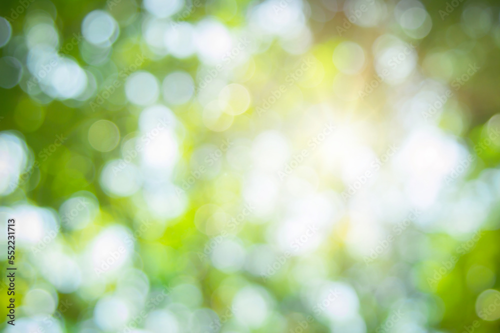 Abstract green foliage and tree in jungle blur with sun light spring summer. Abstract green foliage and tree in jungle blur with sun light spring summer.