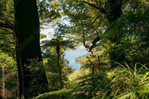 View through shadow and forest to turquoise bay