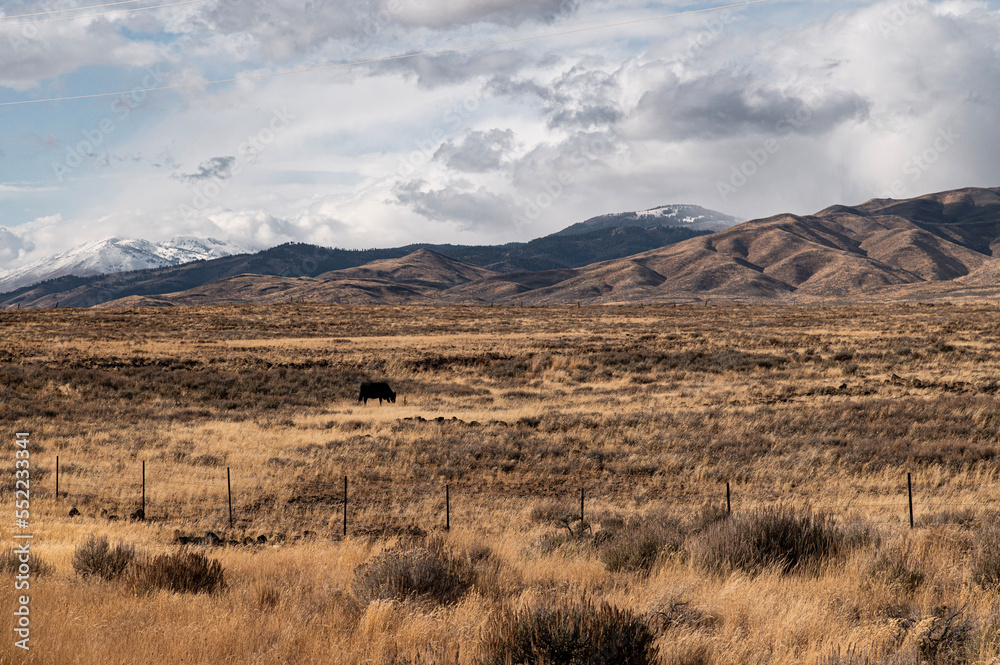 Sawtooth Mountains with pasture