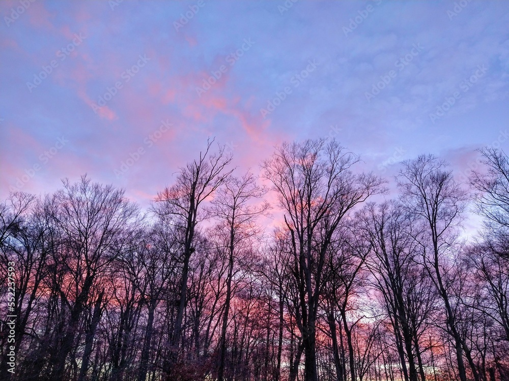 December Sunset Sky Behind Bare Trees December Sunset Sky Behind Bare Trees