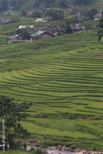landscape with fields