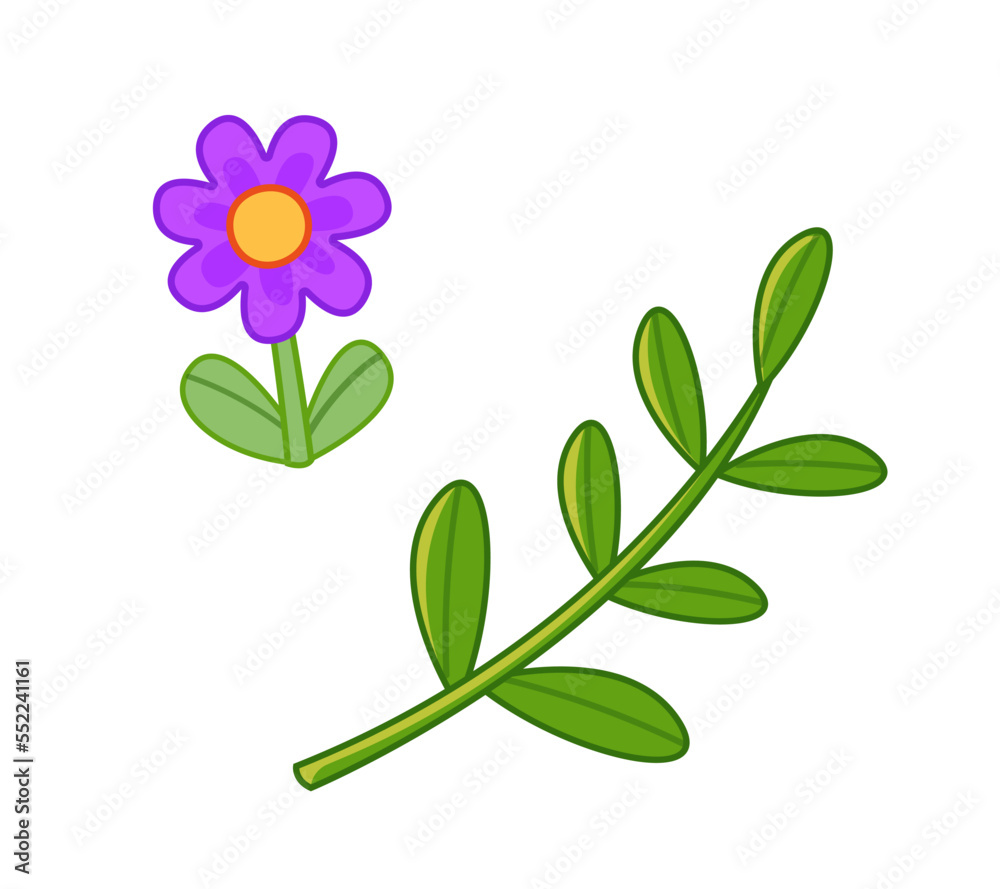 A set of bright flowers, a pink chamomile and a green plant branch. Vector illustration in cartoon childish style. Isolated funny clipart. Beautiful floral print.