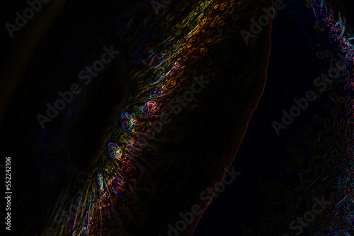 Illustration of cut fruit half, with iridescent colors, gelatinous texture. Abstract artwork with dark background.