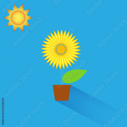 Sunflower with sun in flat style