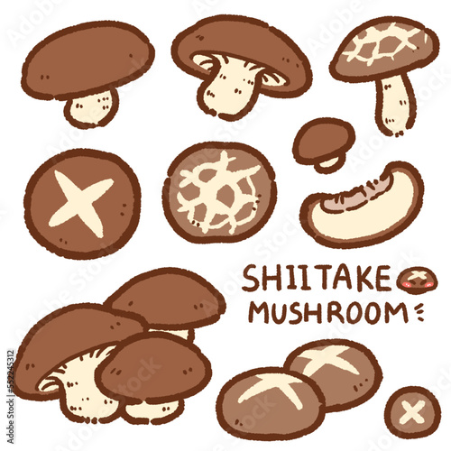 shiitake mushroom cartoon drawing set photo