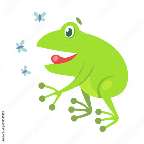 Cute frog hunting for flies cartoon illustration. Funny green croaking toad isolated on white background. Flat vector