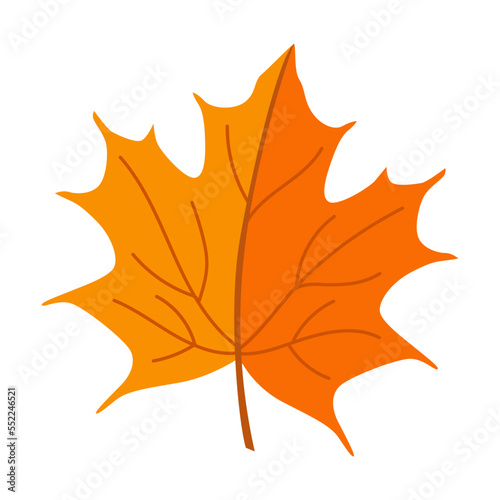 Fallen leaves of maple tree vector illustration. Forest foliage, dry green, yellow, brown, orange leaves isolated on white background