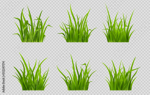 Realistic set of green grass patches png isolated on transparent background. Vector illustration of low plant with narrow leaves growing in garden. Herb for lawn decoration, grazing animals food