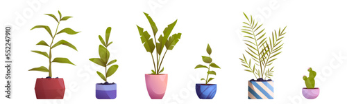 Cartoon set of potted flowers, trees isolated on white background. Vector illustration of green house plants for home interior decoration. Collection of room, balcony, office, garden design elements