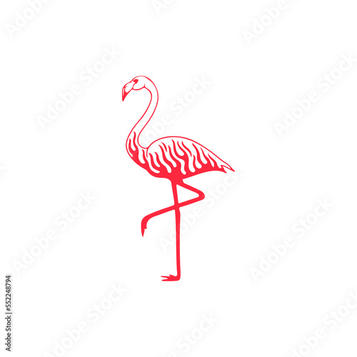 vector illustration of flamingo with concept
