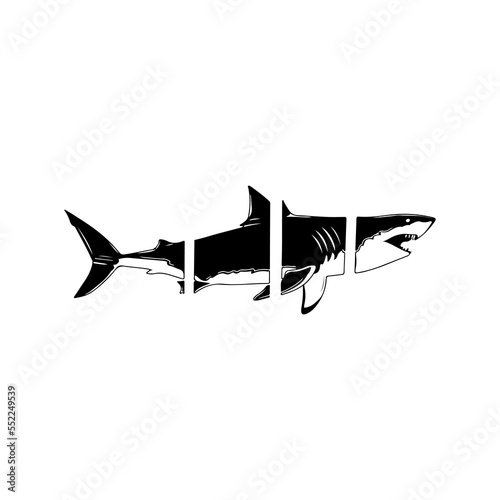 shark illustration vector with concept