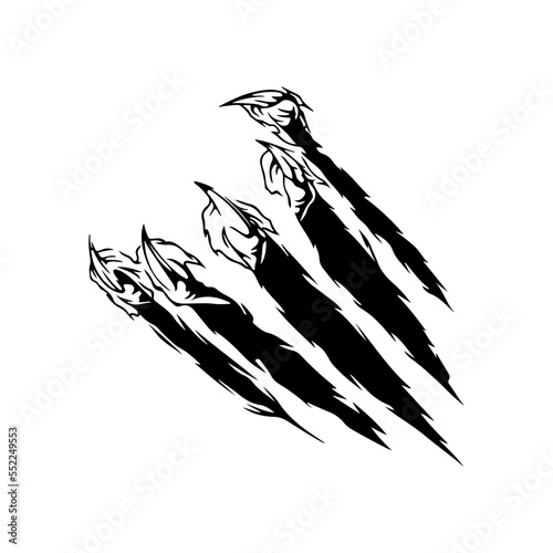 vector illustration of a wild animal claw