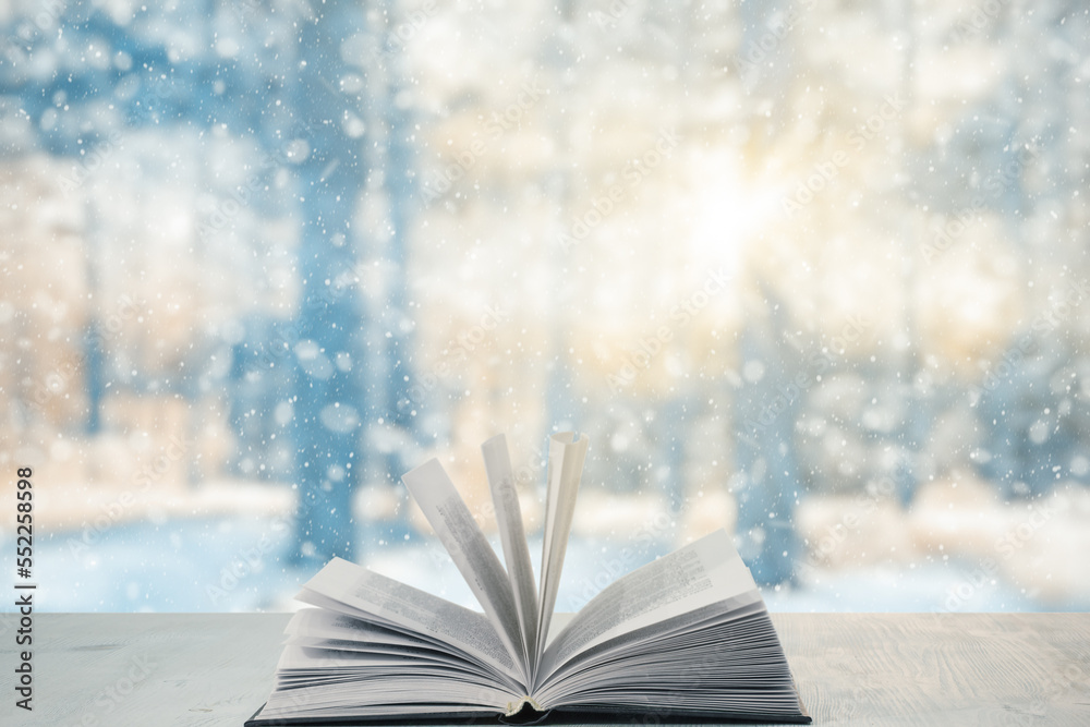 Fototapeta premium winter forest book