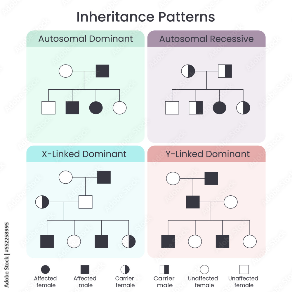 Genetic Inheritance