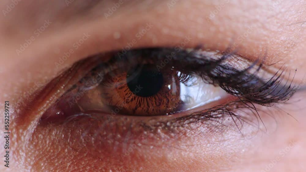 Video Stock Eye, vision and blinking with a black woman closeup in studio for an exam or test at