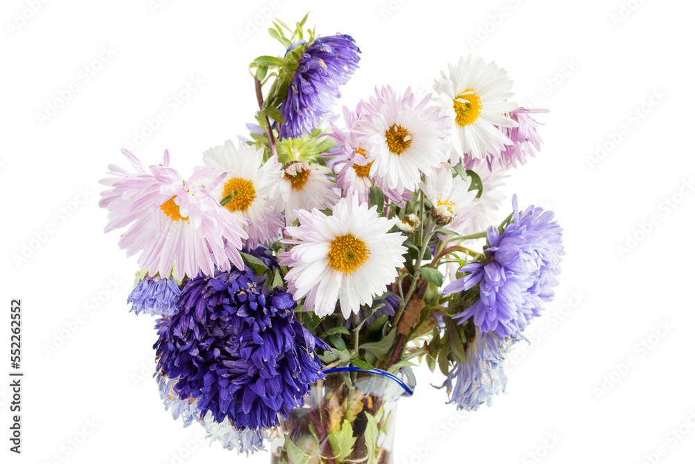 Wild flowers bouquet isolated