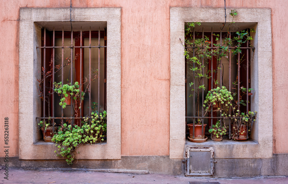 Frontal view of a pink traditional house facade in a small French village. two large windows with bars and flower pots. Green plants hang in the window