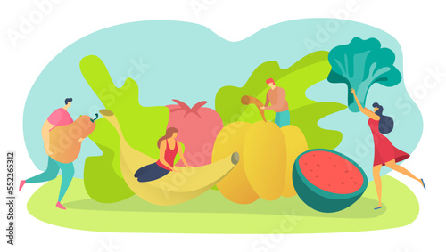 Healthy food for vegan lifestyle concept  vector illustration  vegetarian diet with fruit  vegetables  flat tiny man woman character