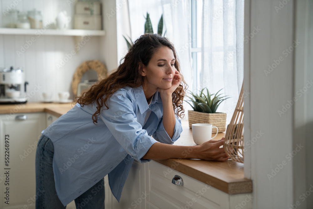 Pleased carefree young woman standing in kitchen at home reading latest news on smartphone, ordering food groceries online, using delivery app, female spending free time on phone, selective focus Pleased carefree young woman standing in kitchen at home reading latest news on smartphone, ordering food groceries online, using delivery app, female spending free time on phone, selective focus