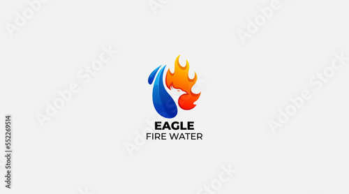 Eagle fire water illustration vector logo design