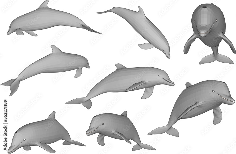 dolphin collection isolated on white dolphin collection isolated on white