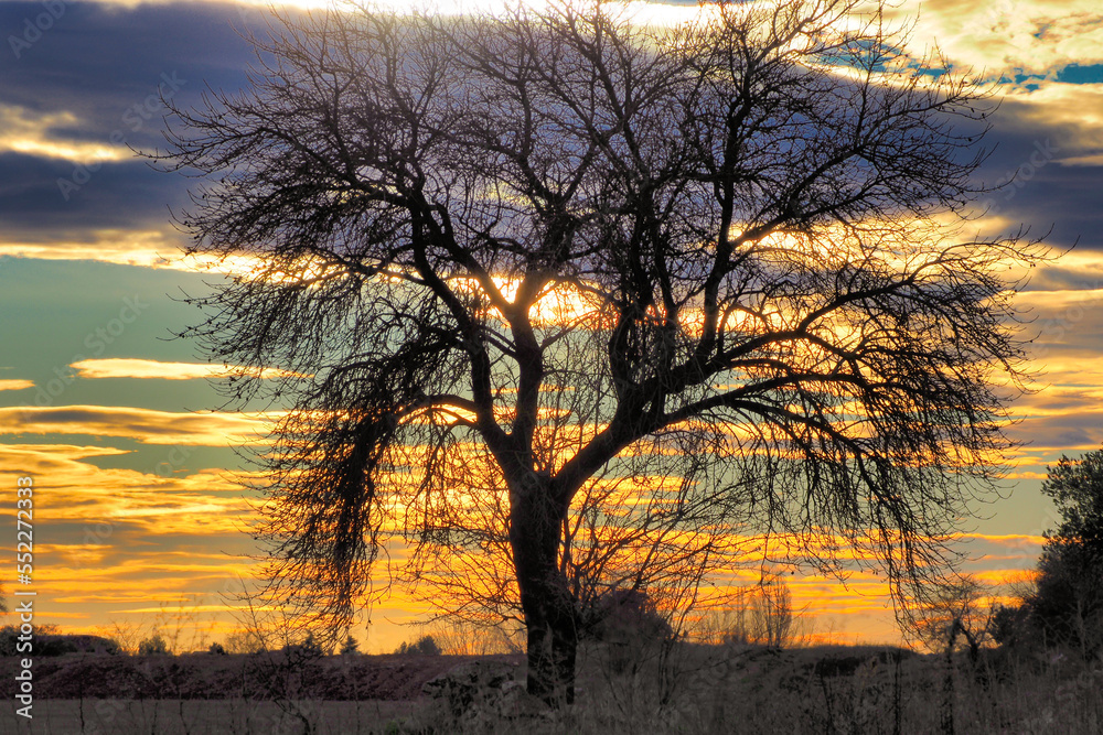 Sunset in the countryside 