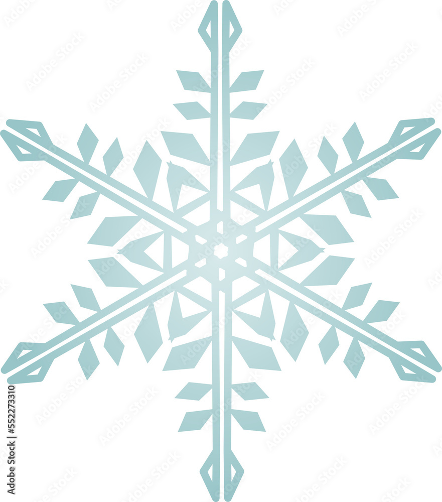 Snowflake Crystal in Winter