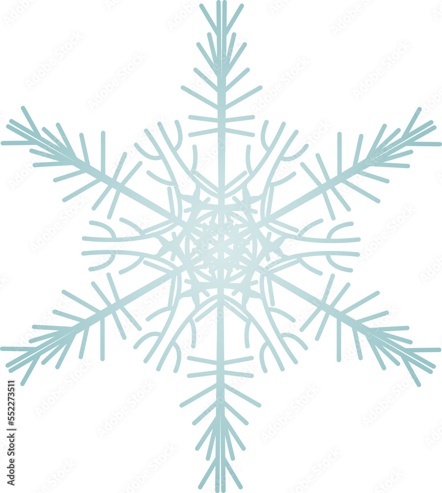 Snowflake Crystal in Winter Snowflake Crystal in Winter